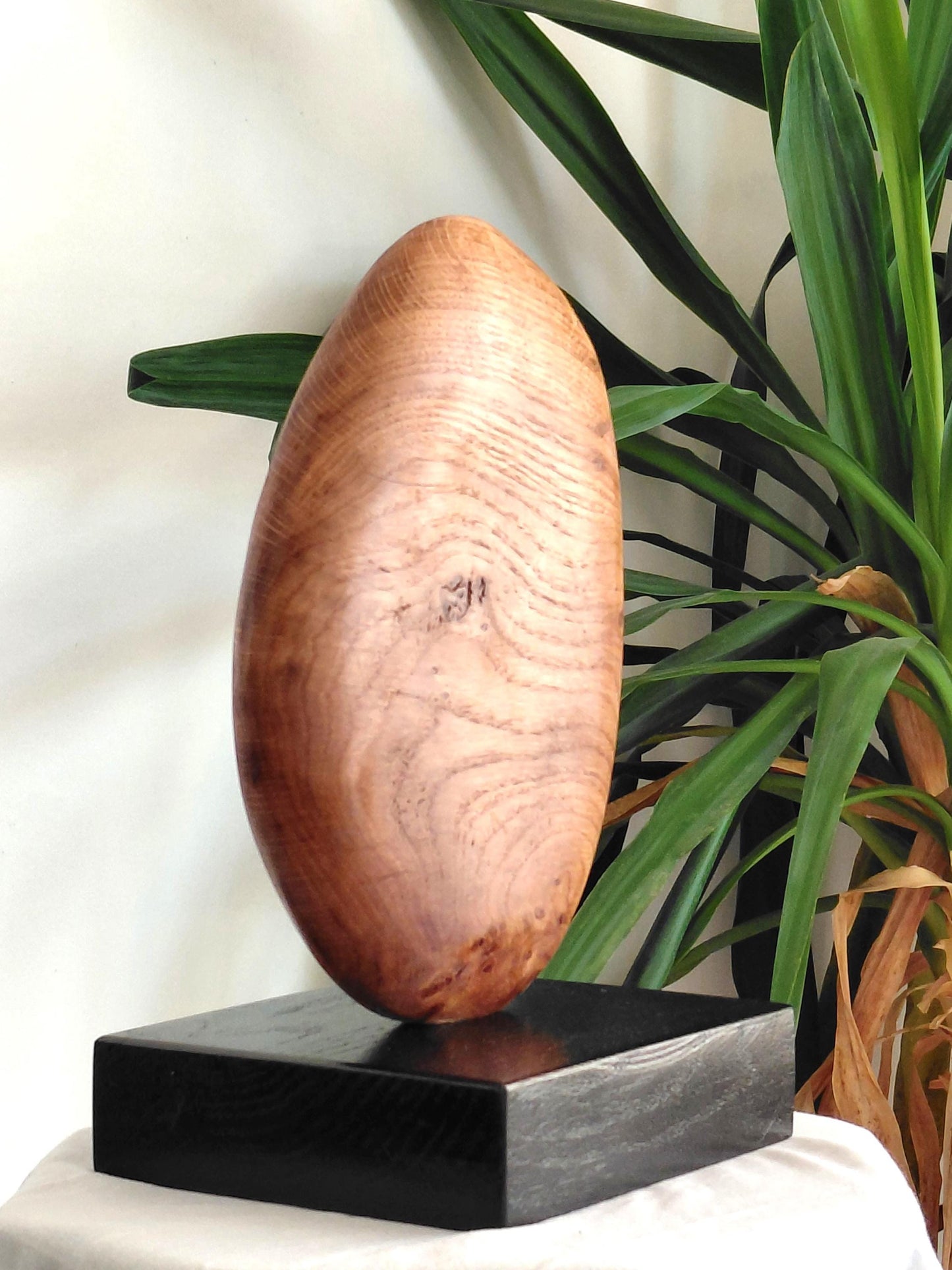 Hand Carved Burr Oak Sculpture