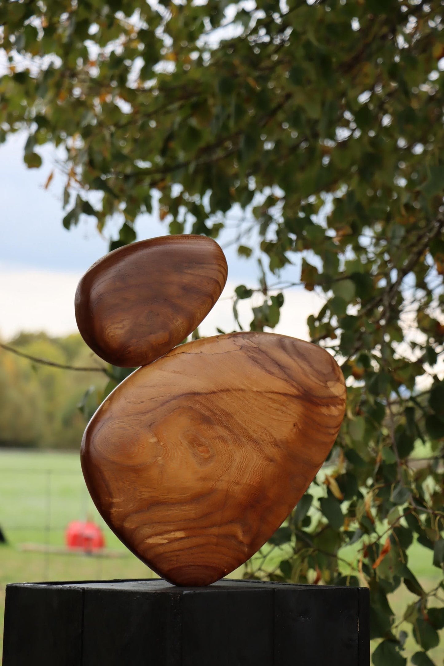 Hand Carved Elm Garden Sculpture